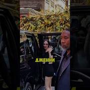 Стоны Дженни Ким