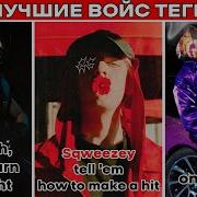 Войстеги