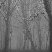 Worldbegemotkot Что Это Вылезло Из Тумана Все Части