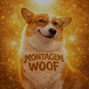 Montagem Woof