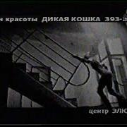 Отв 2005
