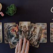 Reinari Стрелец