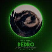 Pedro Melodie Techno Remix