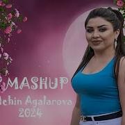 Mehin Agalarova Popuri