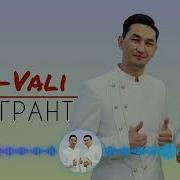 Али Вали Мигрант