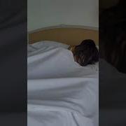 نيك اطياز