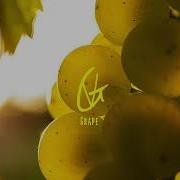 Vlad Gluschenko Grape