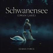 Schwanen Se Bass
