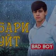 Бед Бои Хабари Туйт