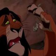 Прикол Узбек 2020