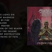 Suicidal Angels Full Album