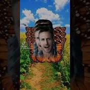 Платно Гослинг Гиф