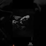 Листья Пожелтевшие Промокшие