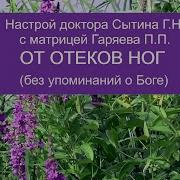 Сытин Красивые Ноги