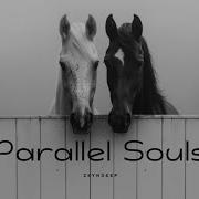 Zeyndeep Parallel Souls Original Music