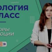Гланая Тема Эволюции