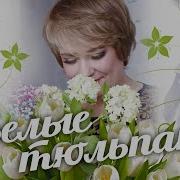 Белые Тюльпаны Алёна Росс