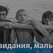 Аудиокнига До Свидания Мальчики