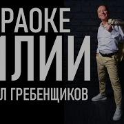 Гребенщиков Лилии Минус