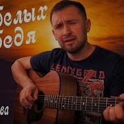 Два Белых Лебедя Кавер
