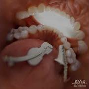 Raye Instrumental
