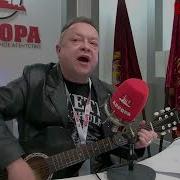 Волков Бритоголовые Идут