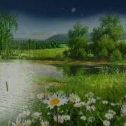 Белая Береза Татьяна Штерн