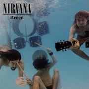 Breed Nirvana Backing Track