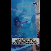 Gas Supply Mermaid