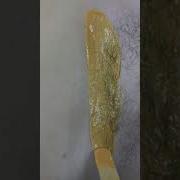 Омни Жунини Тозалаш