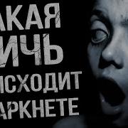 Prorok Даркнет