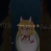 Чуя Вставай