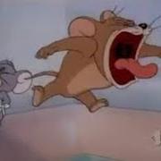 Jerry Angry Roar