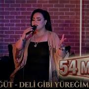 Havva Öğüt