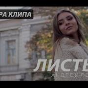 Андрей Южакин Листья