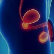 Binaural For Penis Cum