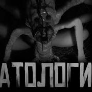 Патология Кот Бегемот