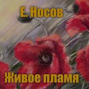 Живое Пламя Носов