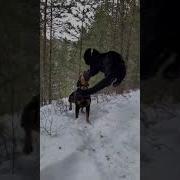 Tik Tok Луна
