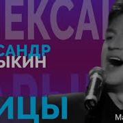 А Барыкин Птицы Cover