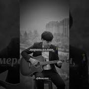 Давое Надора Дарди Дилам