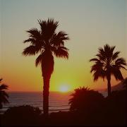Screaming Sunset Riflesso