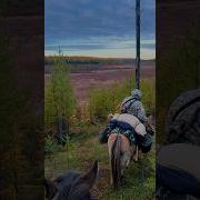 Айаас Ат Урдугэр