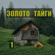 Старатель В Лесу Золото Тайги8