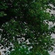 灰谷健次郎