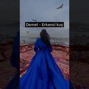 Турецкая Музыка Для Жар Птиц