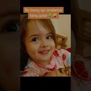 Ata Sevirem Seni