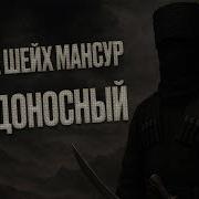 Шейх Мансур
