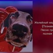 Зачем Мне Паша Собака