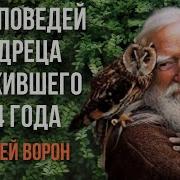 Андрей Ворон